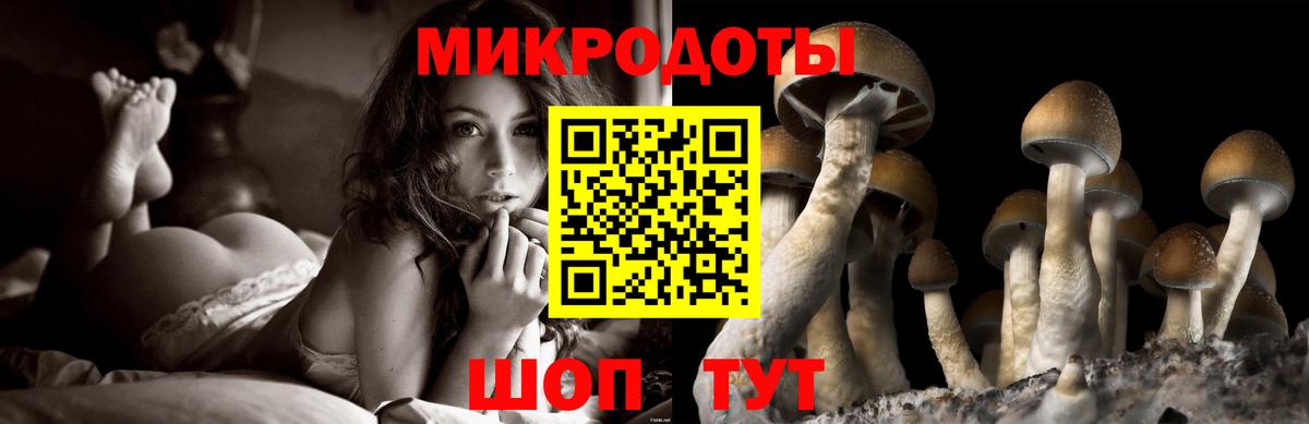 Галлюциногенные грибы прущие грибы Кувандык